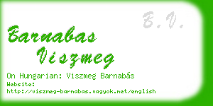 barnabas viszmeg business card