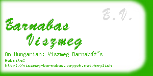 barnabas viszmeg business card